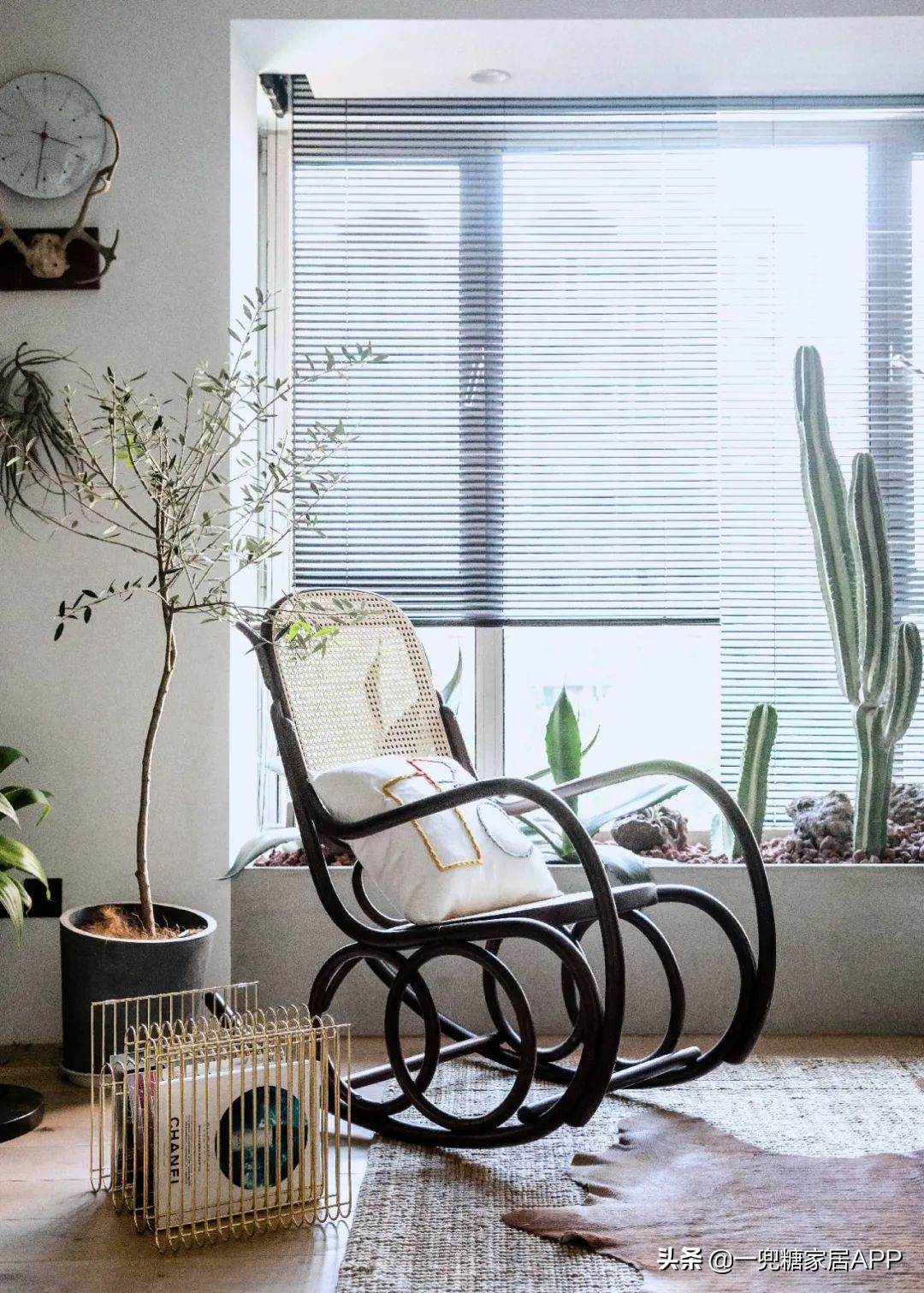 好看又实用的单椅,什么样的单人椅颜值高