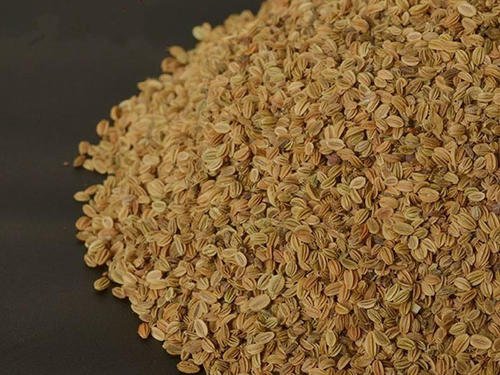 中药蛇床子的原始图片,中药蛇床子别名