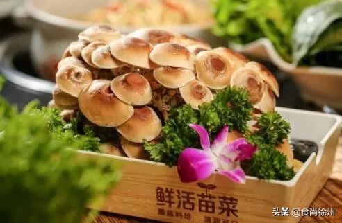 深夜重磅消息,深夜突发事件新闻