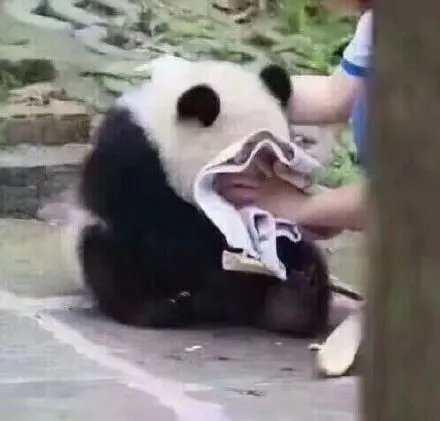 18岁的脸40岁的脖子，你们要的去颈纹指南来啦