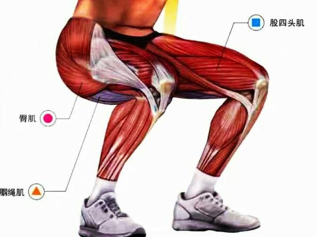 走心的健身——练好徒手深蹲的思考与探讨,顺风练双腿