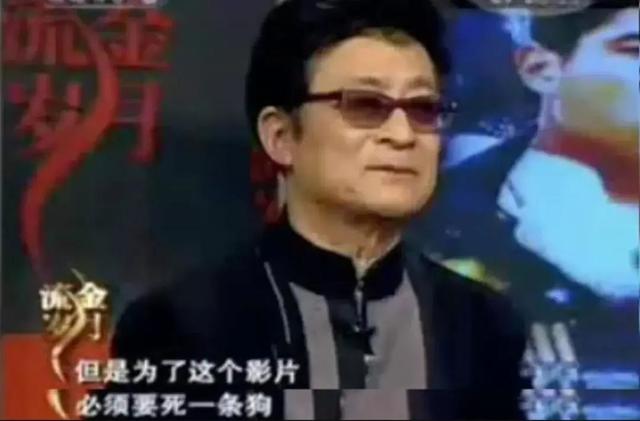 真蛇大战真实视频,拍人蛇大战用的是真蛇吗