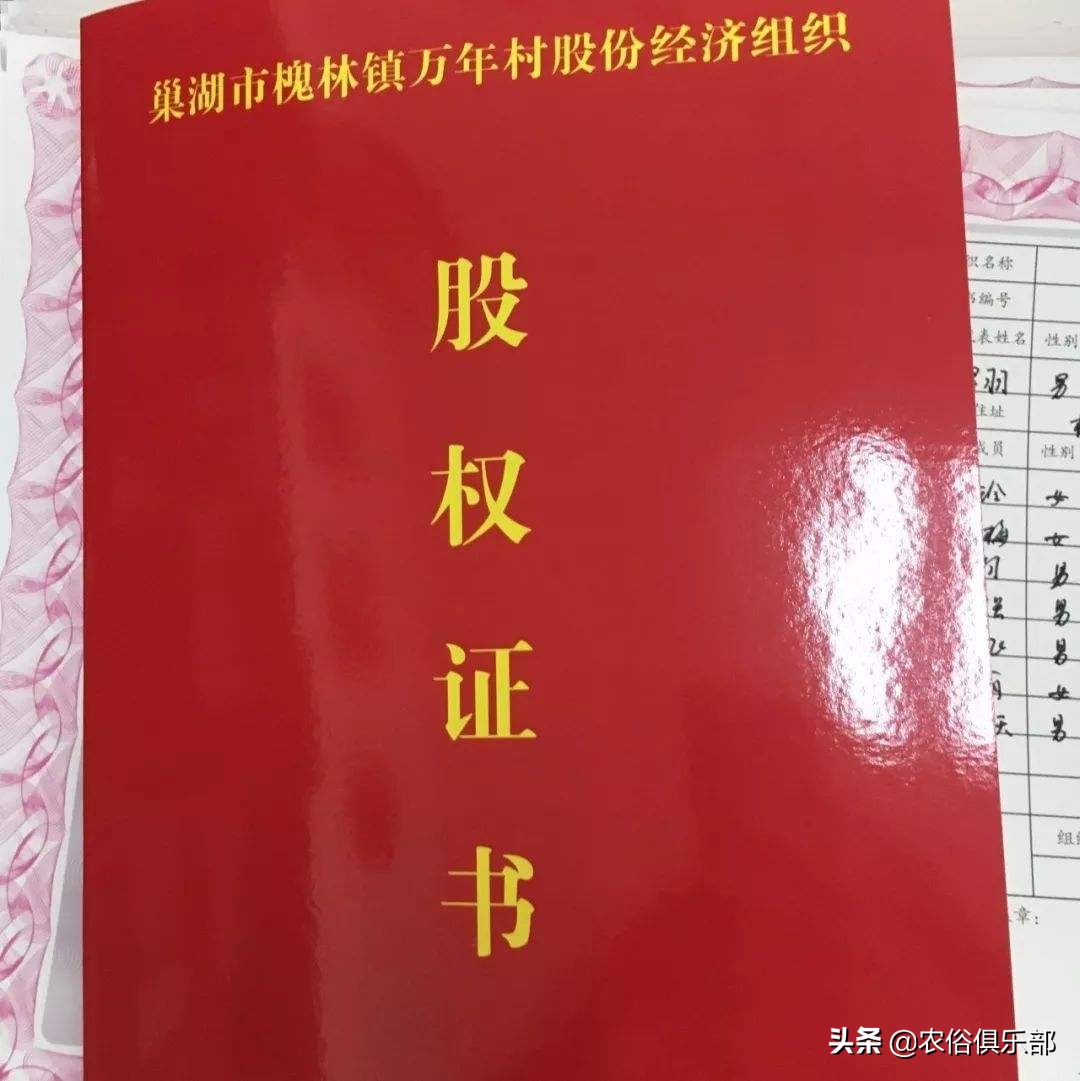农村集体经济组织股权证如何发放,农村集体经济股权证有什么作用