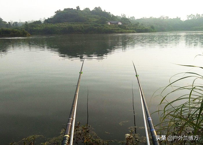 钓鱼人怎么注意哪些鱼不能钓,经常钓不住大鱼