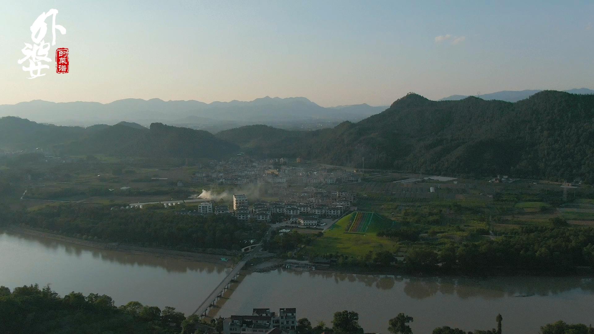 山上哪种树叶能做豆腐吃,山豆腐用什么树叶做的