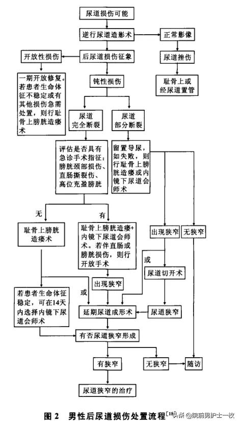 男性尿道损伤哪几种,男性尿道损伤怎么解决