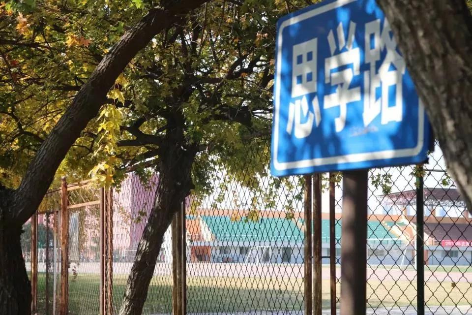 辽宁省内大学排名沈阳医学院,辽宁省沈阳医学院前景