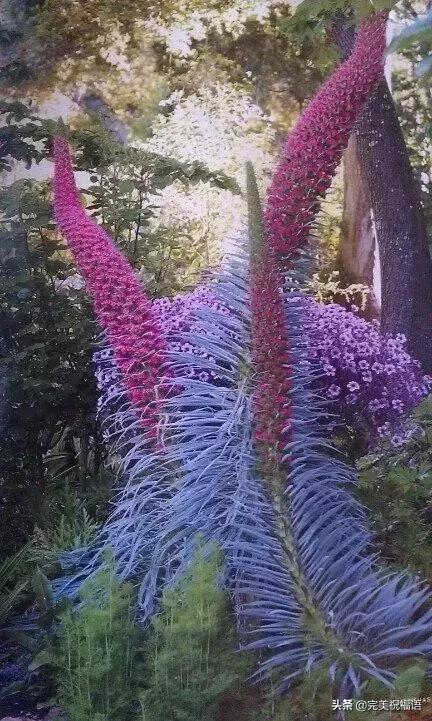 六一相册影集,六一照片专场