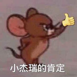 戴森狙击组合,戴森vs小米