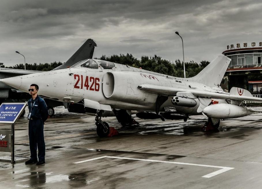 世界上最大的鸟撞飞机,一只鸟撞上飞机导致坠毁