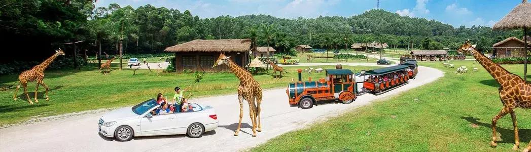 凯美瑞成都旅游攻略,凯美瑞旅行版自驾游攻略