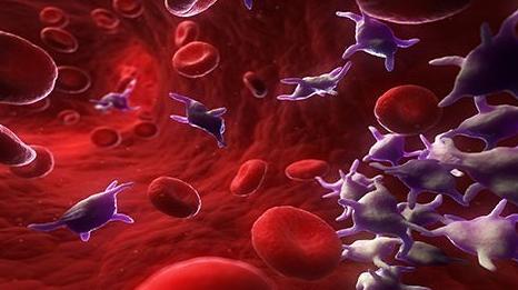 氯吡格雷阿司匹林单片复方制剂,阿司匹林氯吡格雷抗血小板机制