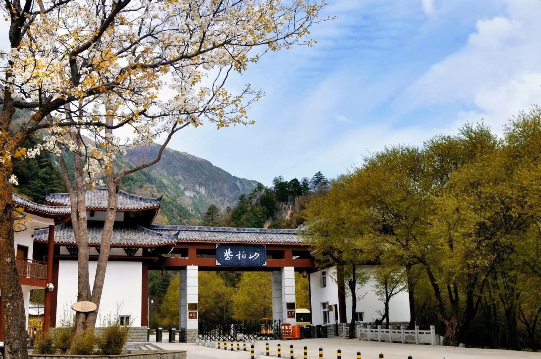 2021秦岭鸡窝子分水岭红叶,秦岭红叶最佳自驾线