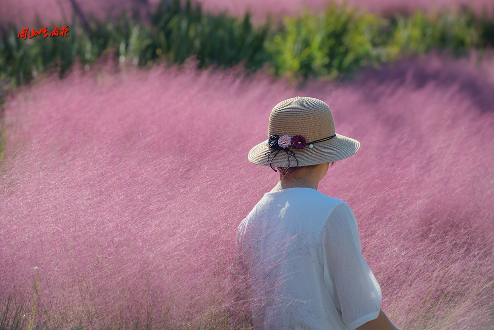 摄影就是记录流逝的时光,摄影捕捉生活的美好瞬间