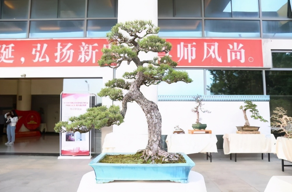 广东科贸职业学院住宿费,广东科贸职业学院宿舍功率用多大