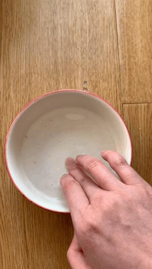 猫咪喝水碗里有红色蠕动虫子,猫咪喝水碗里有小黑虫