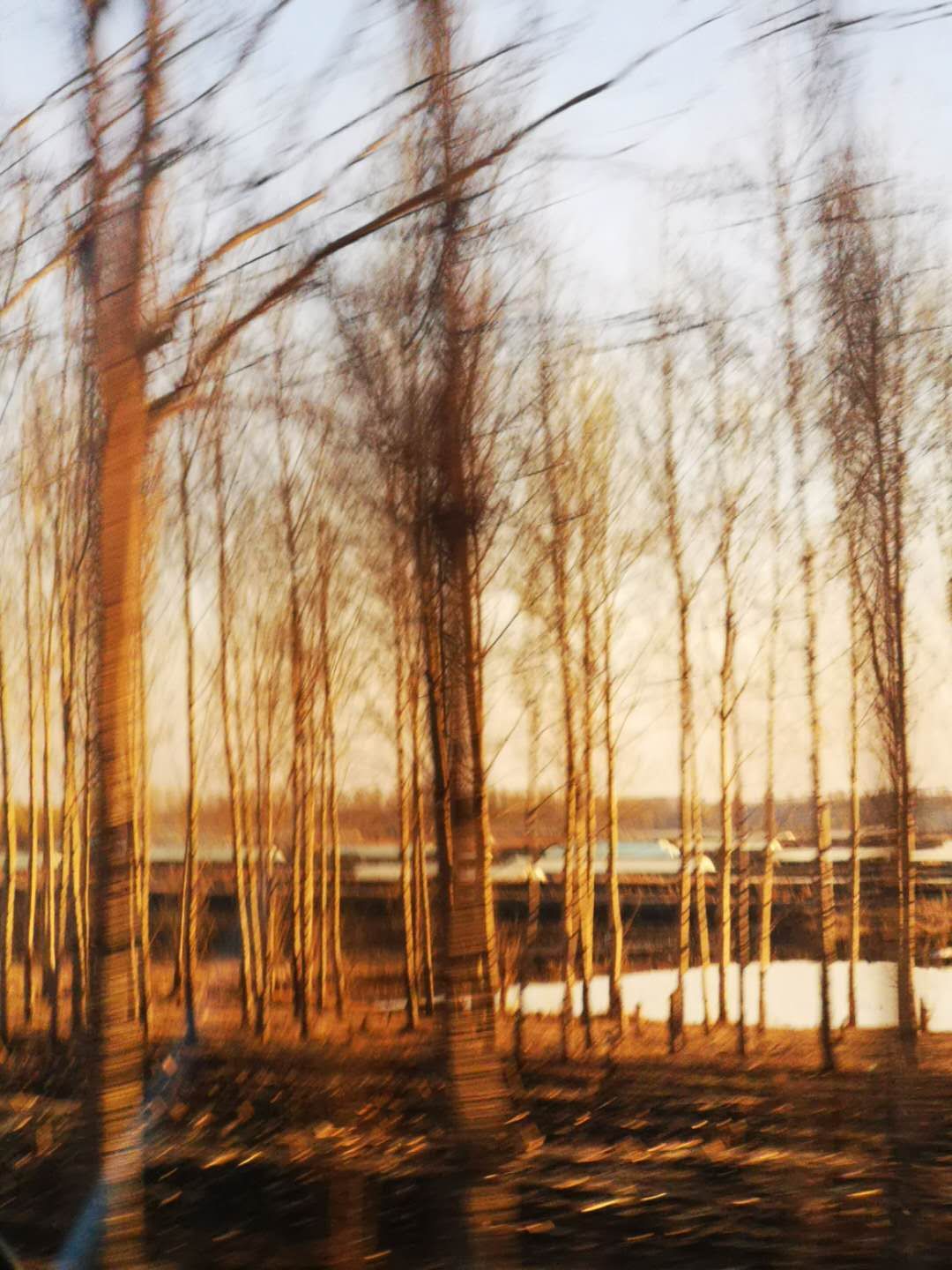 烟雨重游太平湖,重游太平古城游玩攻略