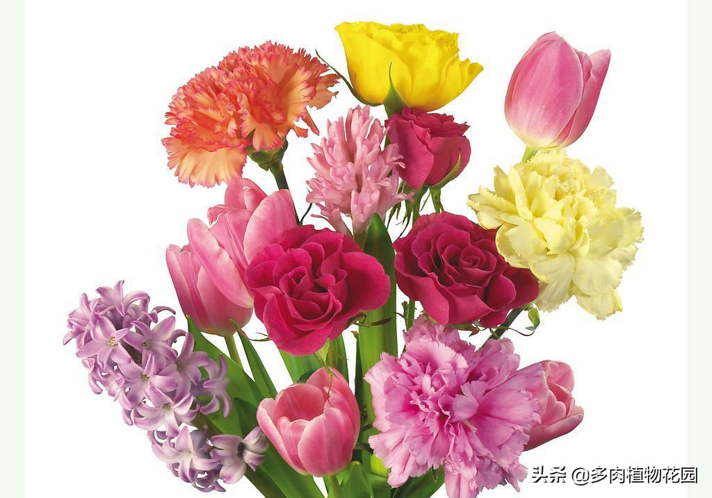 教师节送老师的花折纸,教师节送给老师的花去哪里了