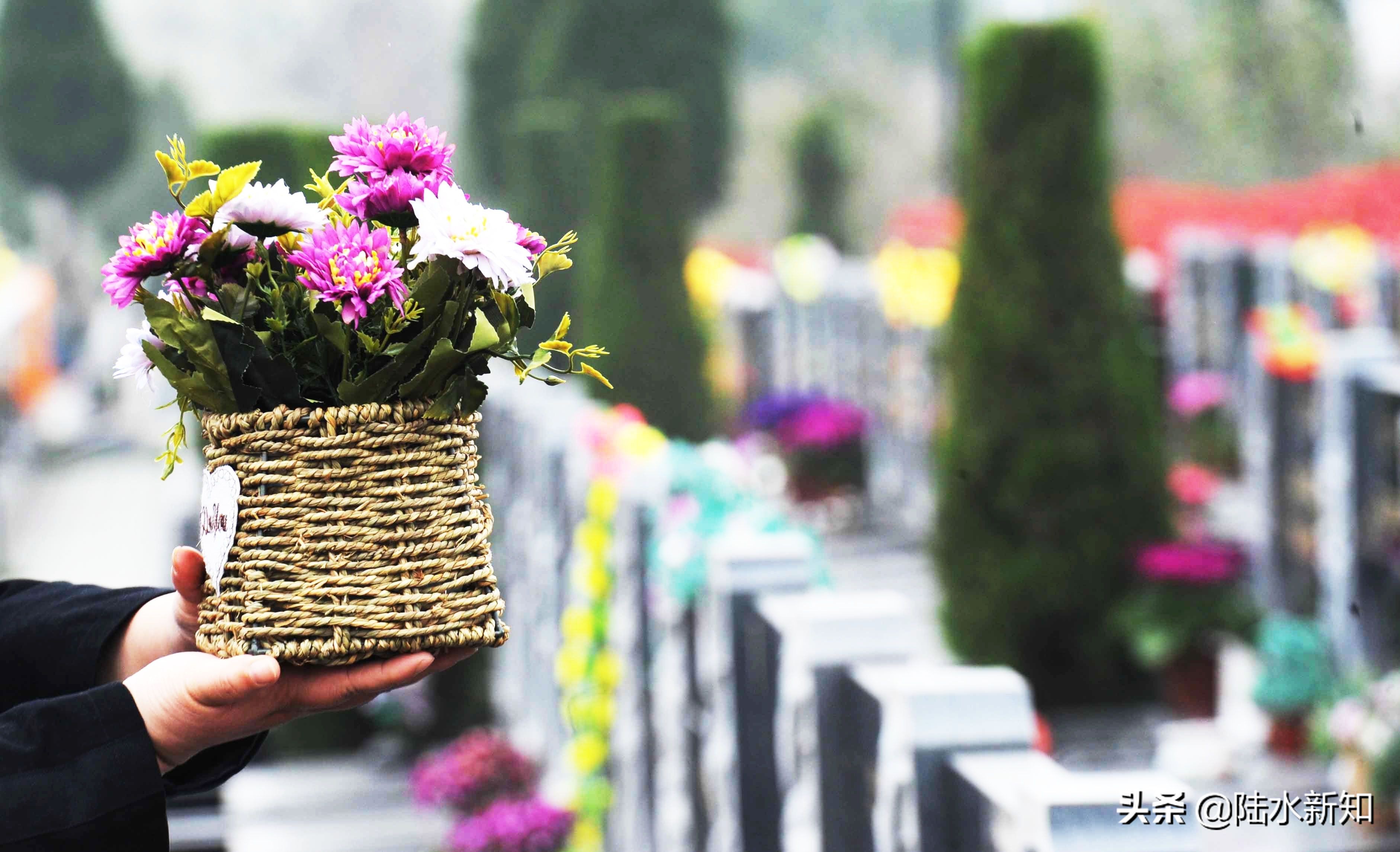 殡葬业房地产,殡葬行业的毛利率怎么算的