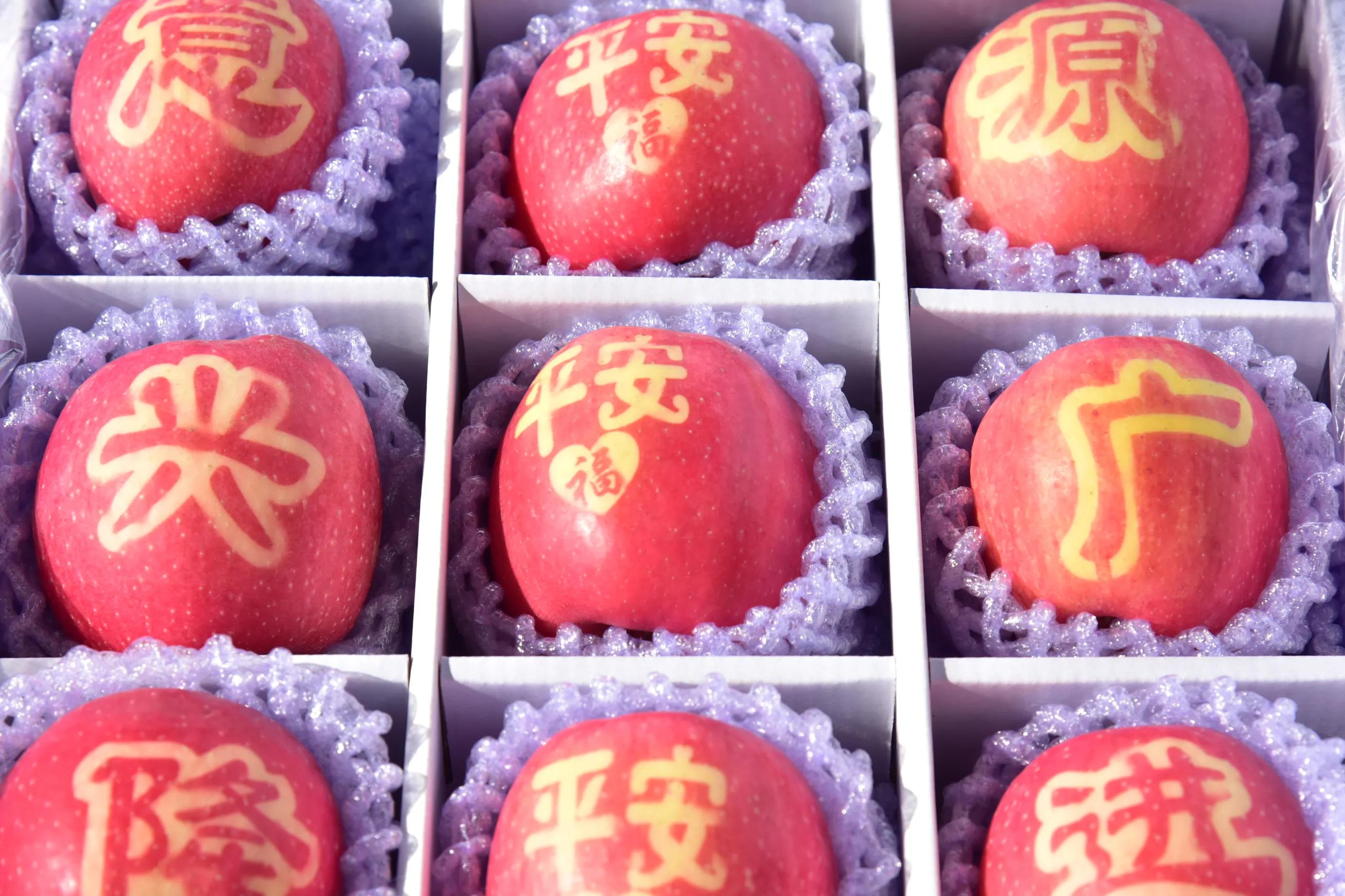 陕西白水苹果种植,陕西白水苹果基地介绍