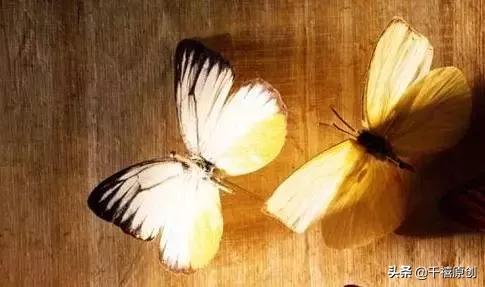 旺夫旺子的珠宝是什么,旺夫旺子的首饰