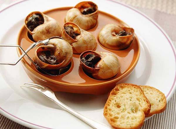 蜗牛养殖是假是真,蜗牛养殖能赚钱吗