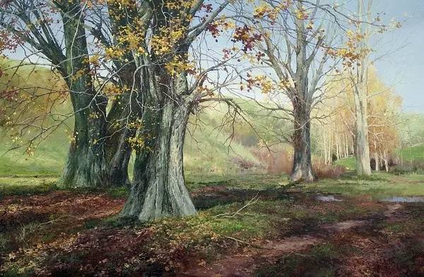 二年级画风景画教程,画风景画教程