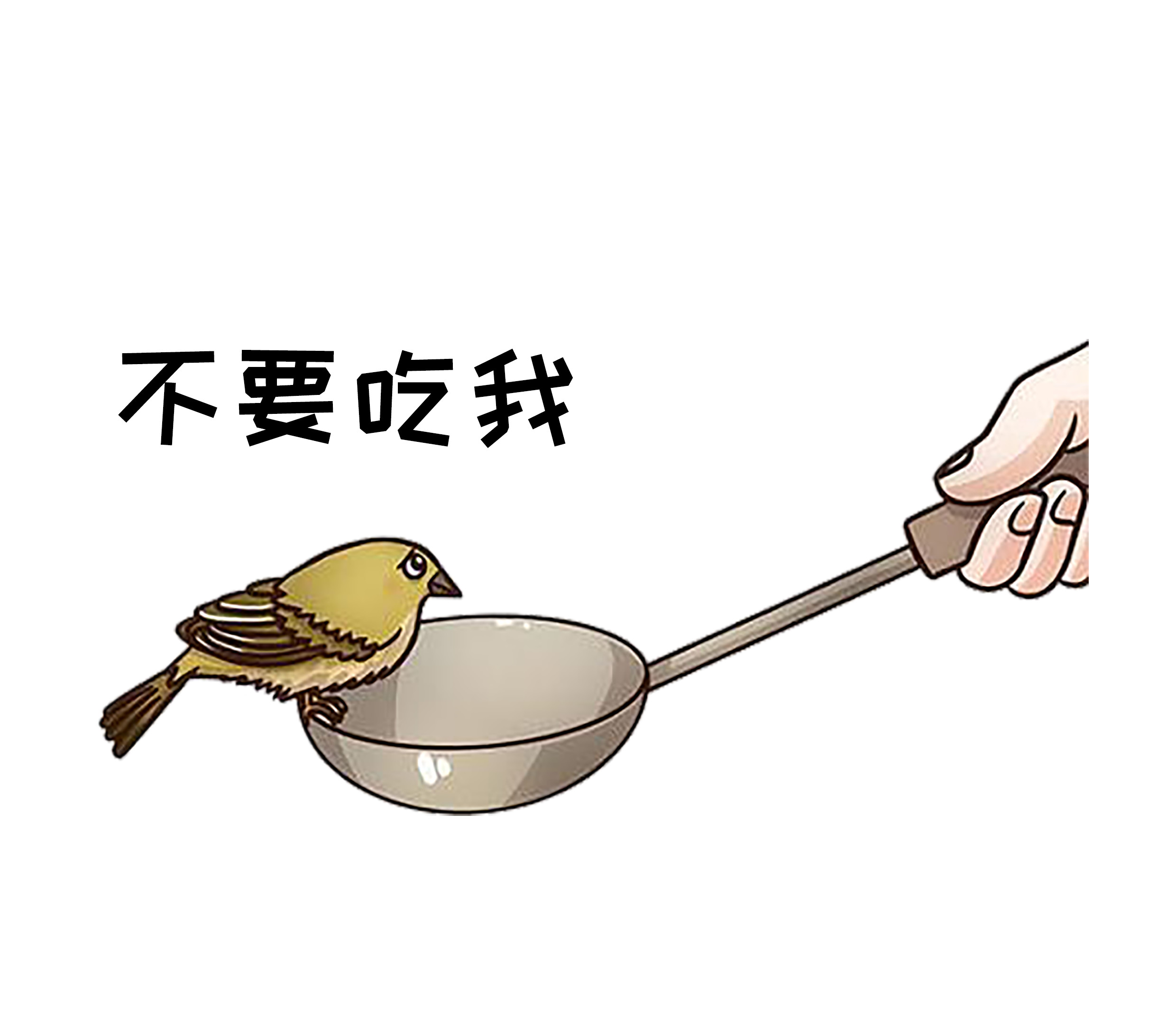 鱼翅的营养甚至不如鸡蛋，那吃它的人到底在吃啥？（菲李漫画）