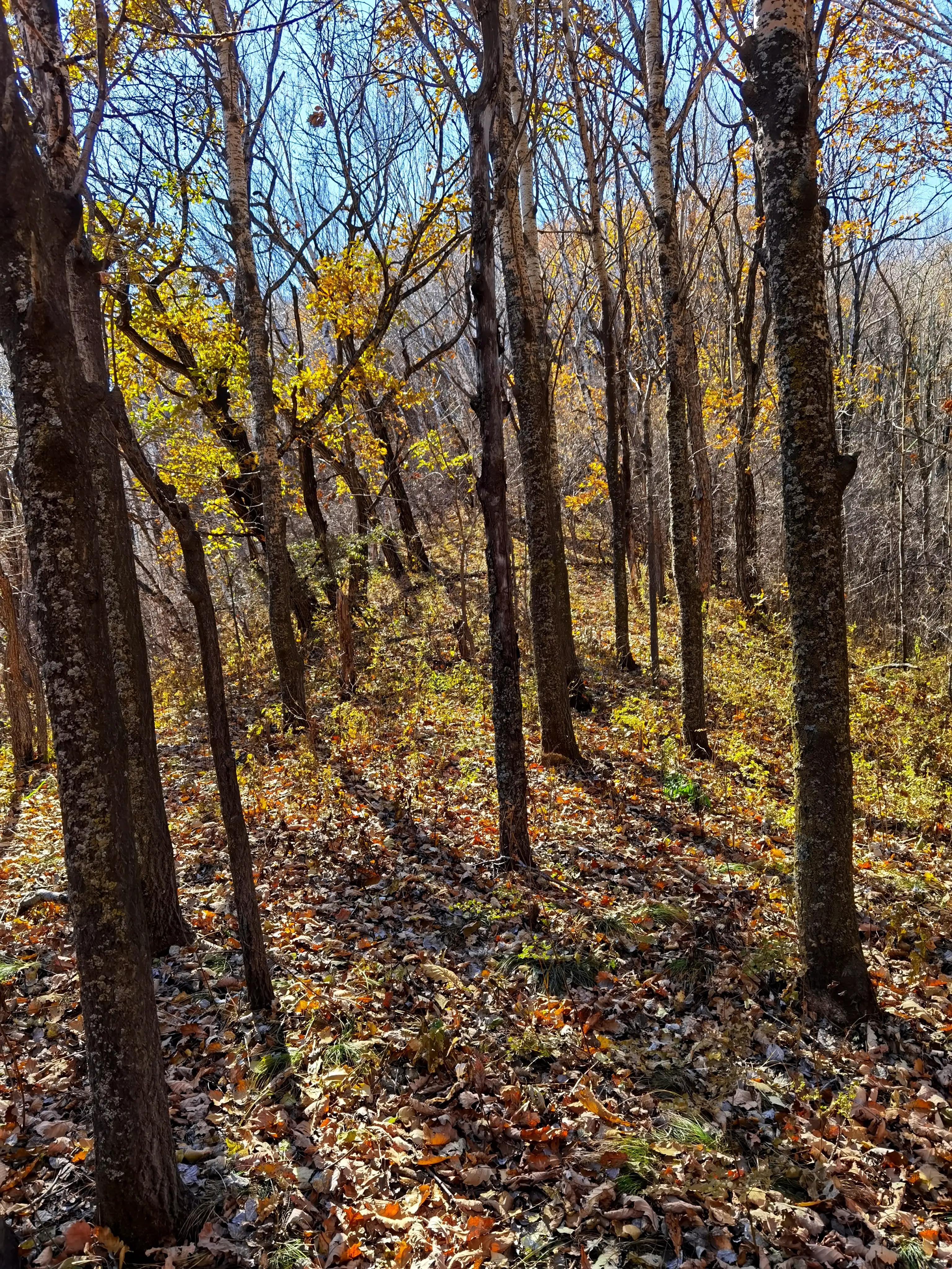 怀柔喇叭沟门原始森林2日自驾游,怀柔喇叭沟门原始森林骑行