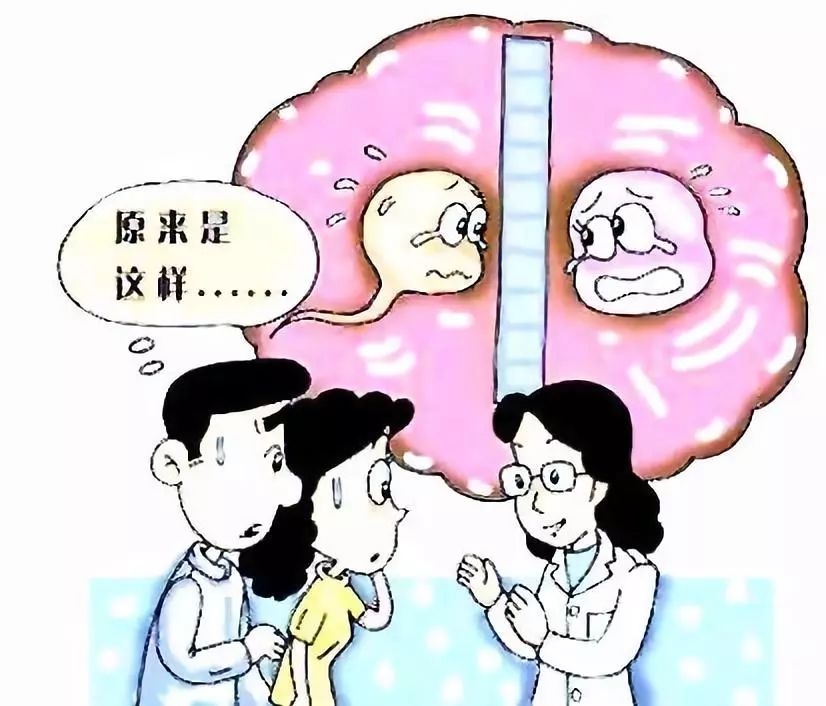 细菌性炎症会导致输卵管堵塞吗,滴虫炎症会导致输卵管堵塞吗