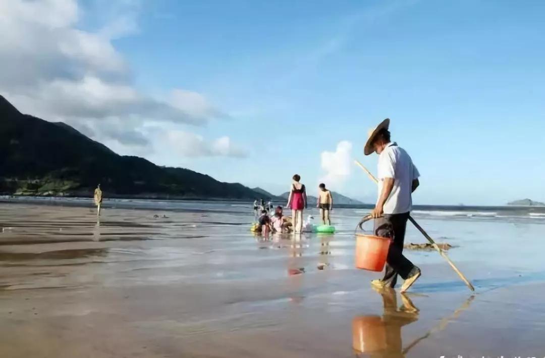 万亩草原航拍,万亩草原航拍视频