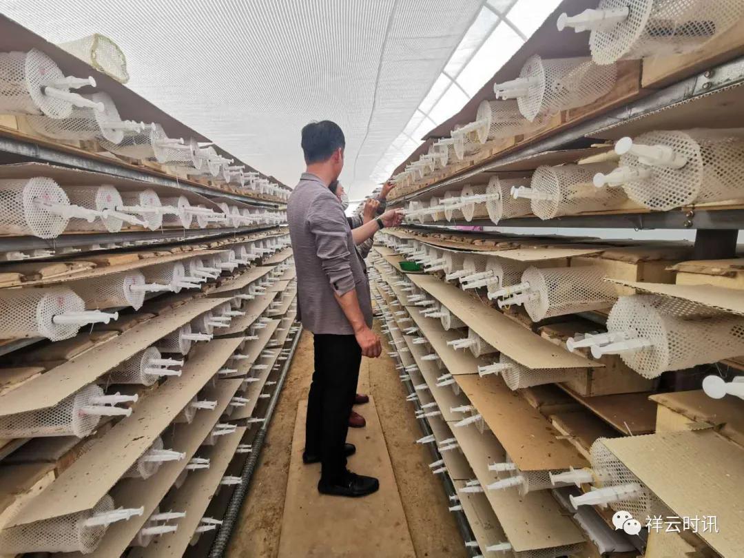 筑巢引凤吸引农民工返乡就业创业,大理州春节务工返乡