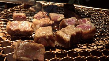 新手购茶防坑建议