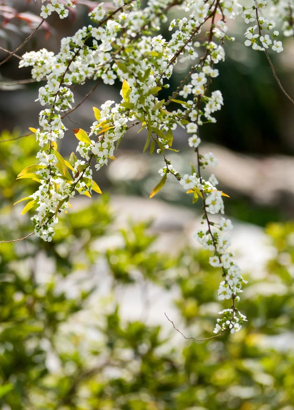南京一座伟大的城市,南京一座城