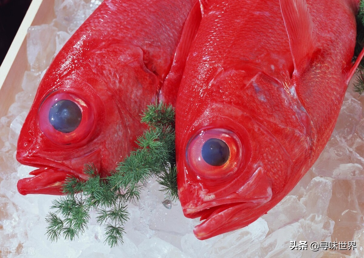 内行人买鱼,买鱼时内行人专买的5种鱼