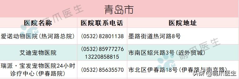 宠物医院必看,不坑的宠物医院推荐