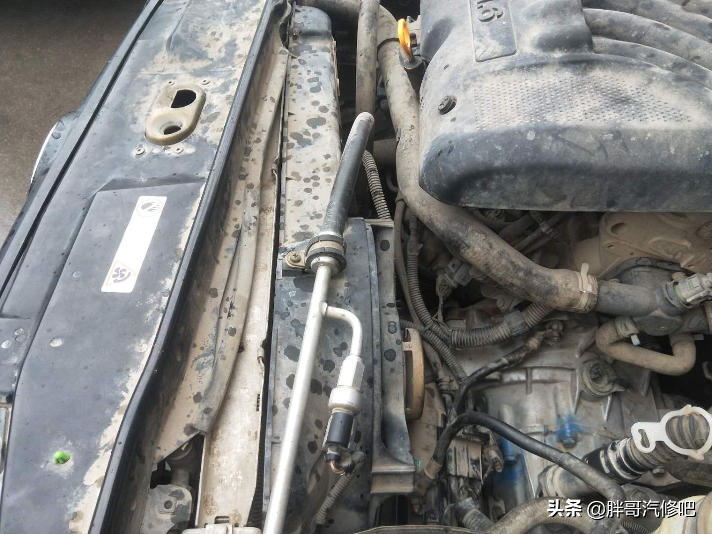 胖哥十万左右车,胖哥千元车