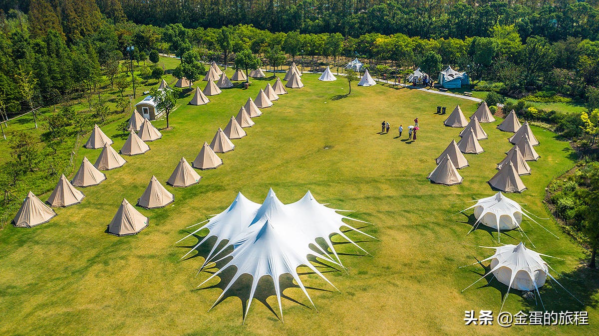 不出上海有哪些地方旅游,不出上海玩的景点排行榜