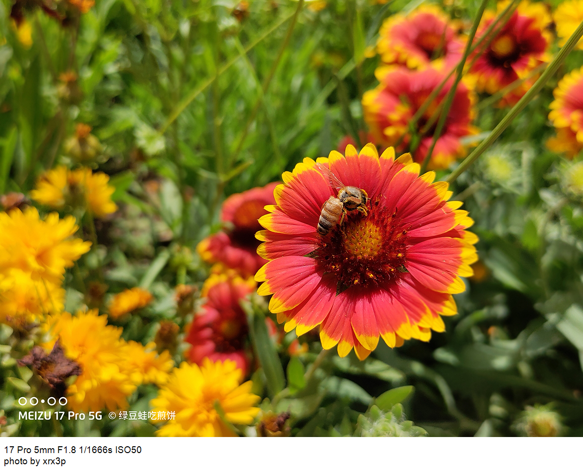 魅族17pro拍照怎么用,魅族17pro拍照体验