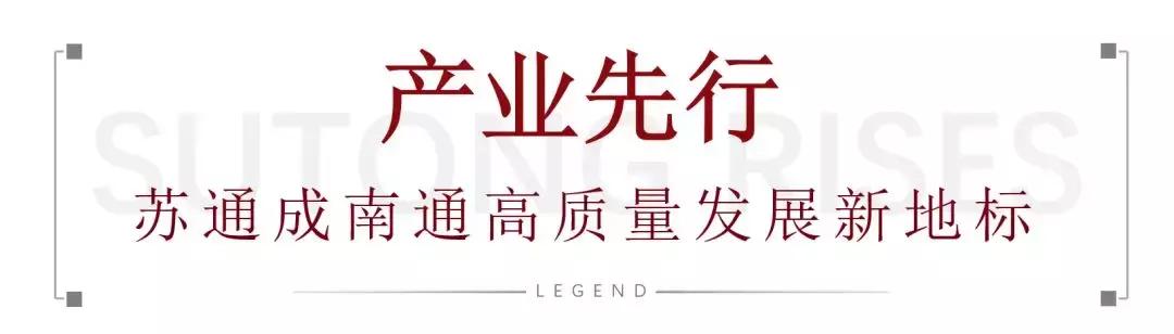 大赞！大型国际组织到访苏通！园区跃升跨国合作“新地标”...