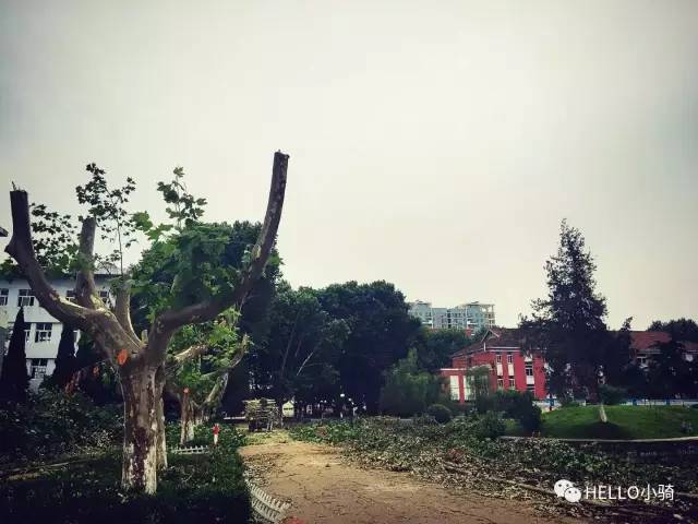 20年前的安徽理工大学,安徽理工大学辉煌校史