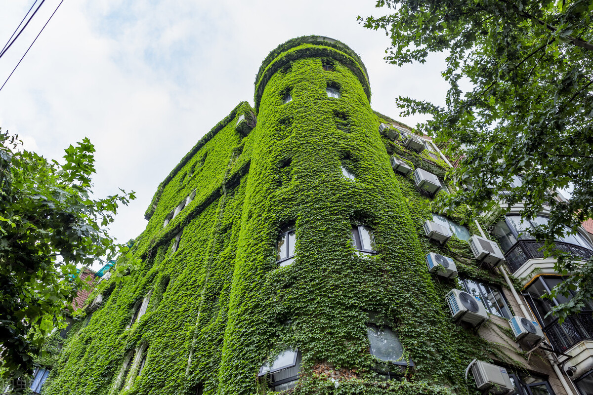 100种常见园林图鉴,列举20类不同的园林花卉