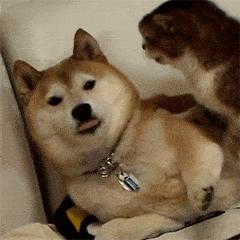 效果堪比整容的变美小知识,花几万整形不如换个发型