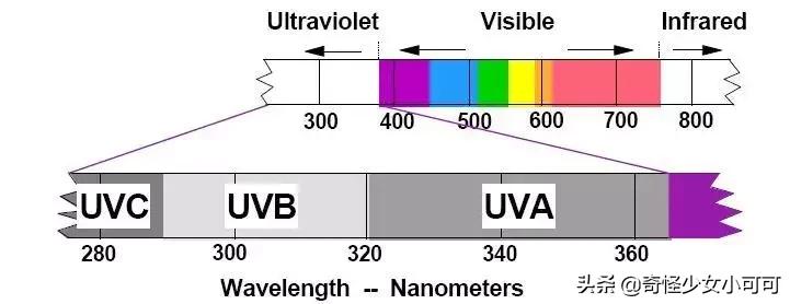 防晒霜真的有光毒吗,风信有毒吗