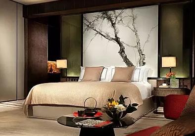 广州最贵十大私人温泉酒店,广州最贵酒店8万5元5晚