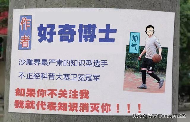 有哪些可以快速提升身材的小技巧,如何提升身材管理