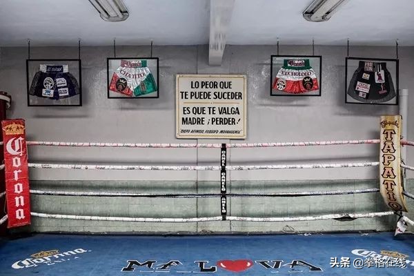 墨西哥拳击为何厉害,墨西哥拳击帝国是怎样建成的