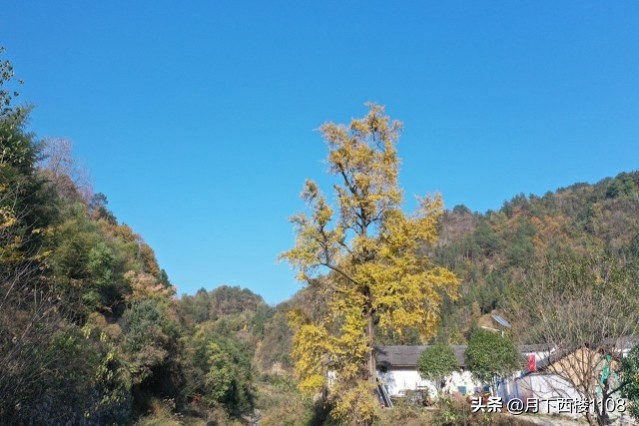 湖南省常宁市发展前景,湖南常宁最新发展