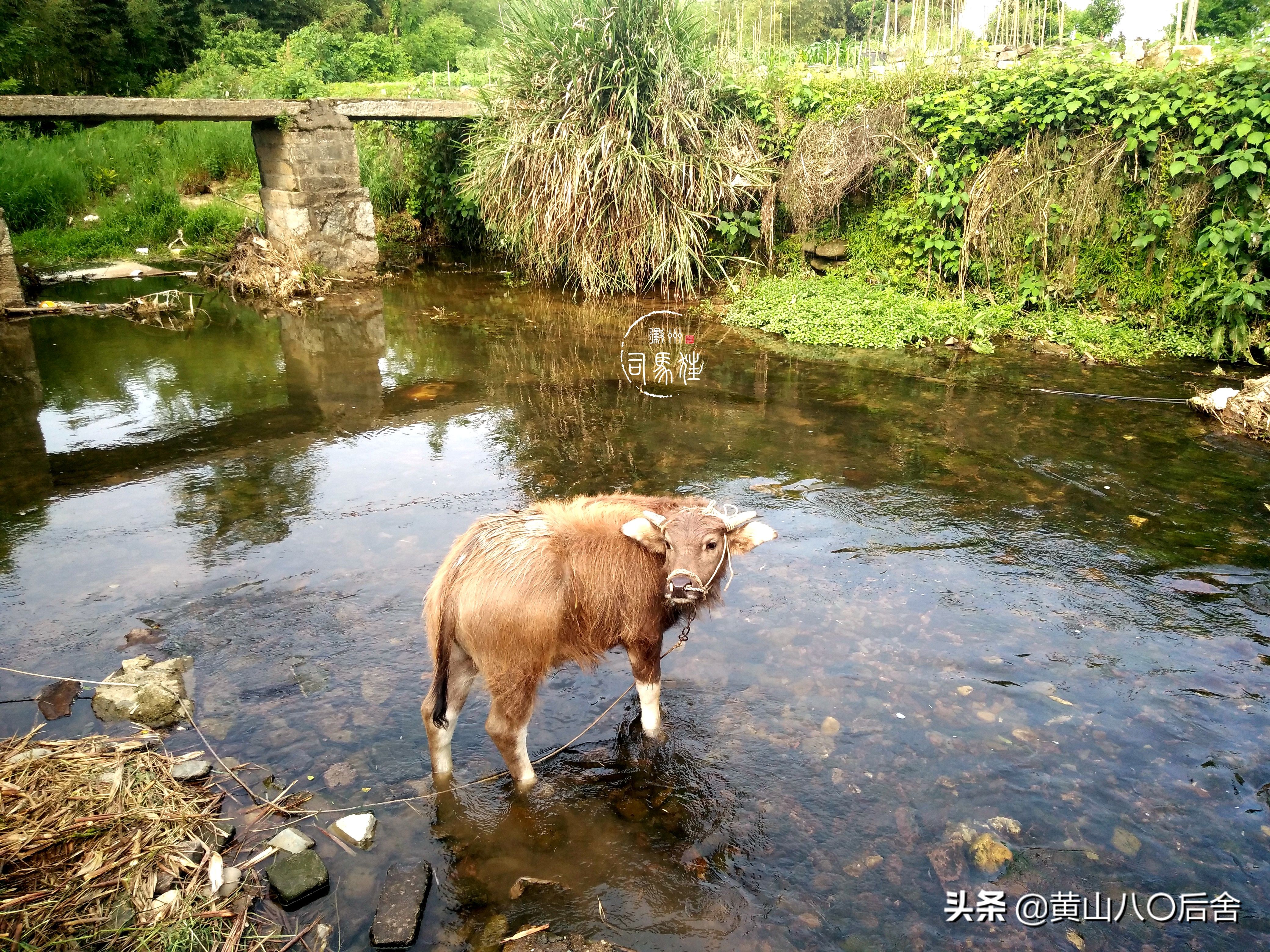 歙县有个村子，大家都姓淩，三点水的淩。这里还有吕洞宾的传说