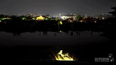 属虎,数虎图像深圳